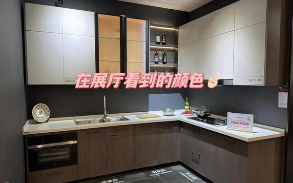 把坤放进欧派会怎么样—欧派自己的铰链好吗