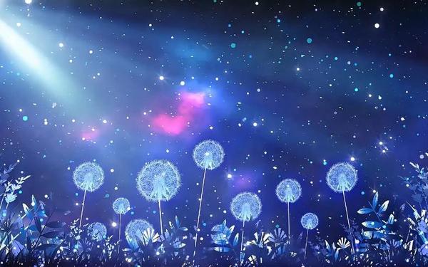 30分钟激励短片视频素材—二人世界高清视频素材哪里找