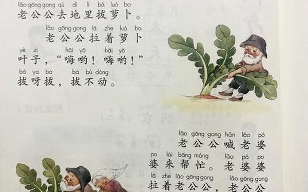 拔萝卜要盖被子吗？—什么是拔萝卜