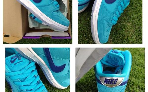 nikedunk毛茸茸—Dunk 品牌介绍