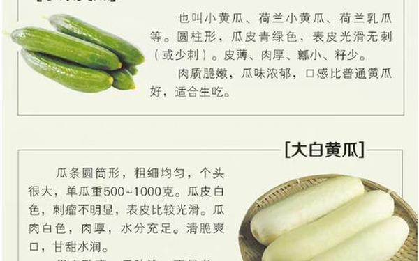 甘雨黄瓜？自己出牛奶(牛奶加黄瓜什么意思)