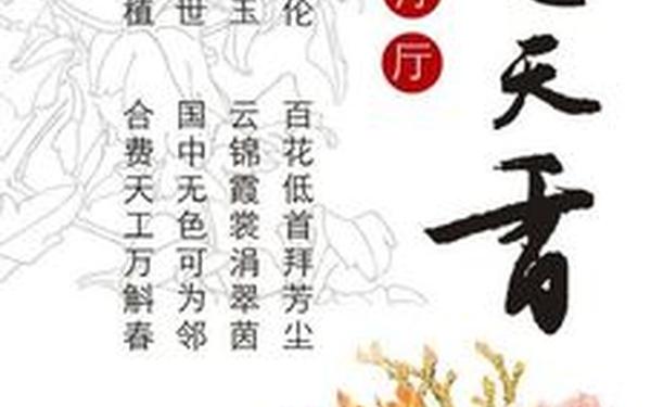 国色天香logo-国色天香图片