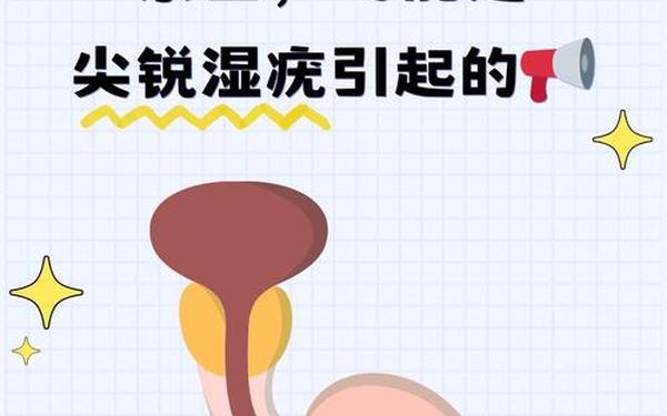 7岁男宝小鸡上长了个小痘痘(男性湿锐疣早期图片)