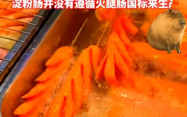 粉洞洞太饿了想吃火腿肠网—火腿肠用面粉做还是淀粉