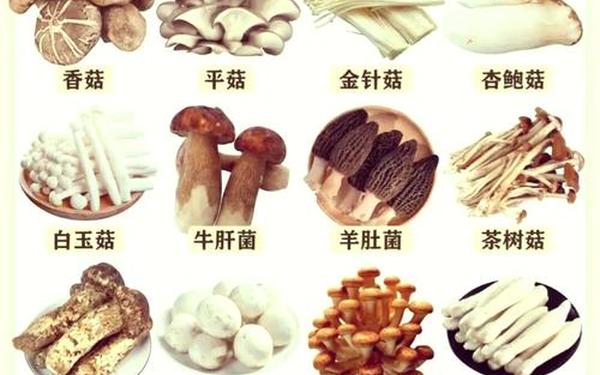 7x7x7x7x7任意槽MAB蘑菇,长粗蘑菇的做法大全
