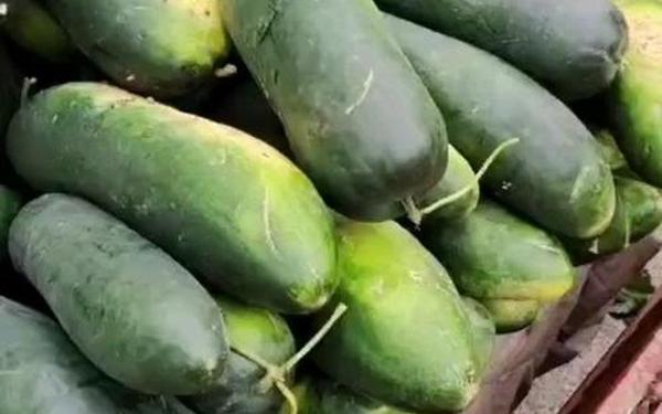 独家黑料每日吃瓜视频网站;冬瓜视频