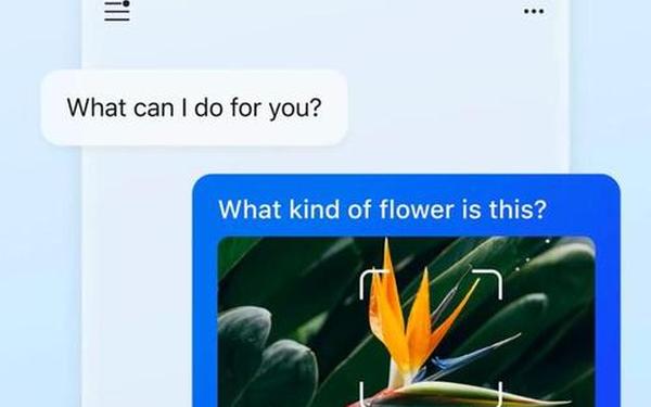 bingai聊天—聊天app下载大全