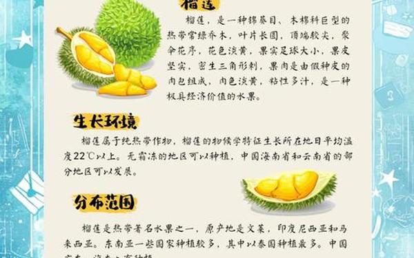 91榴莲丝瓜草莓黄瓜榴莲;91香蕉榴莲丝瓜草莓黄瓜的推荐理由