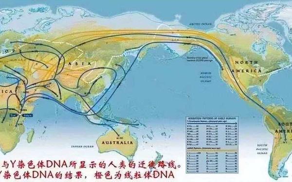 非洲人性功能强大的基因研究-非洲人性功能强大跟什么有关？