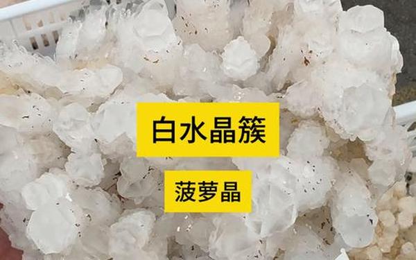 九一果冻制作厂白晶晶的作品类型-九一果冻制品厂最新消息