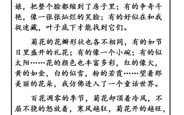 错一道题在菊花里放一支笔—错一题菊花放一支笔