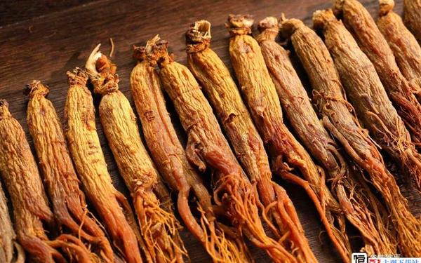 丰年经的继拇中文与其他版本差异、丰年经继拇是免费的吗