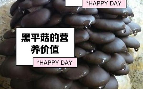 吃瓜网曝揭秘黑料蘑菇,蘑菇吃瓜料每日爆料