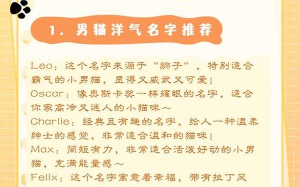miya188最新网名是多少-猫咪成人最新地域网名怎么取猫咪