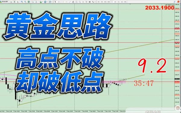 九·幺9.1高风险黄、鉴黄金软件app免费下载安装